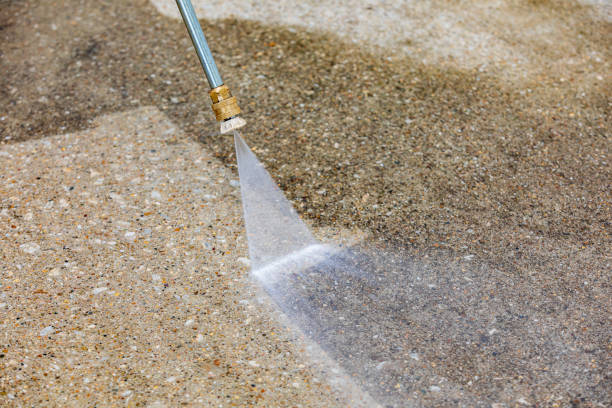 Best Driveway Pressure Washing  in Avis, PA